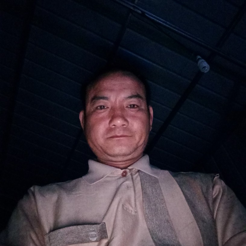 漠然钢笔的照片