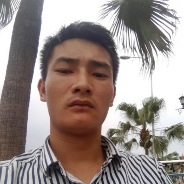 菠萝迎谨慎的照片