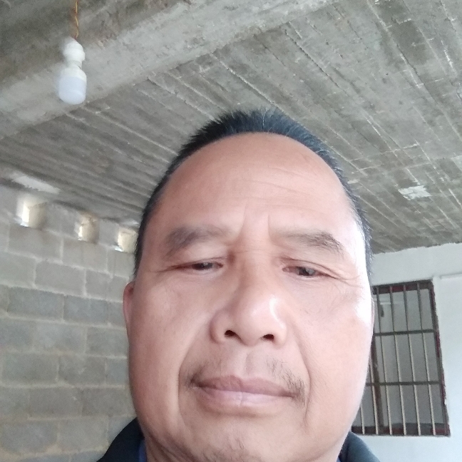 真情对人的照片