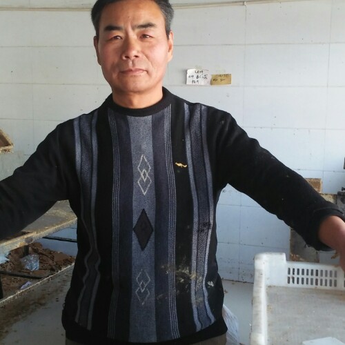 为真理而斗的照片