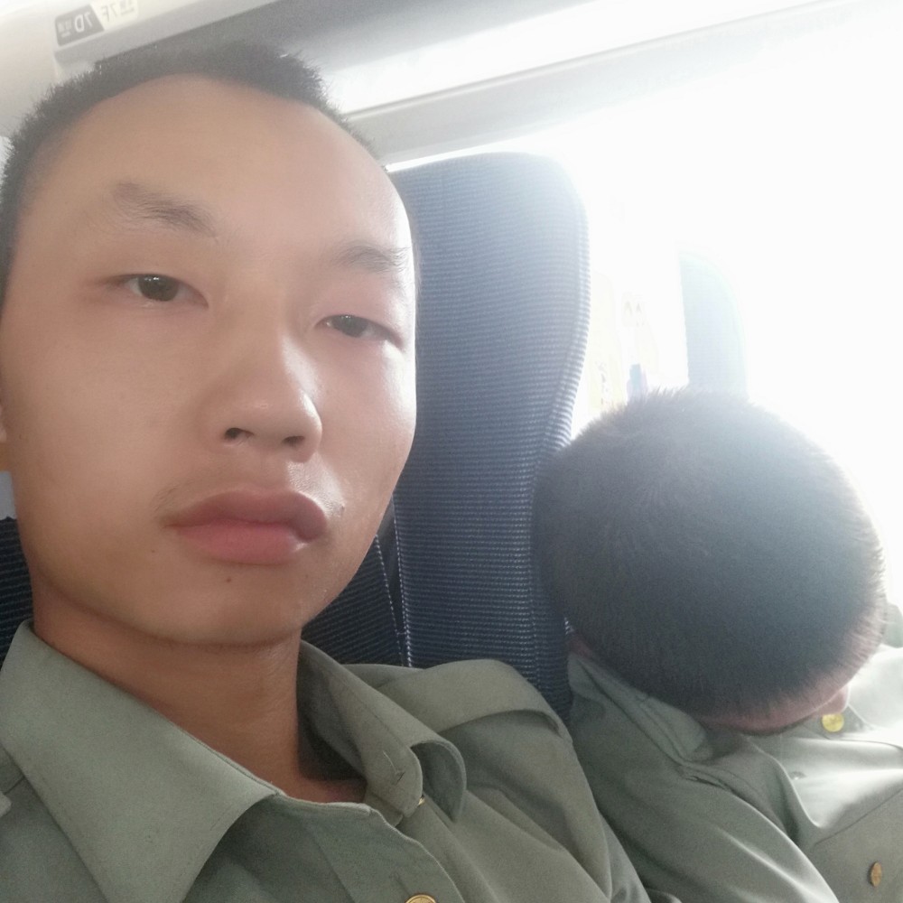 水蜜桃朴实的照片