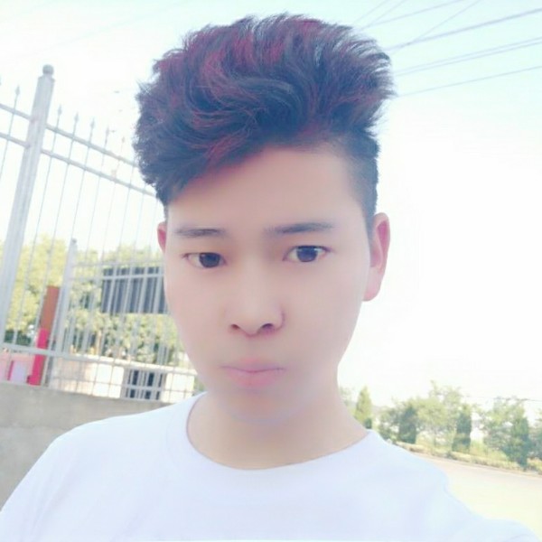 隐形踢长颈鹿的照片