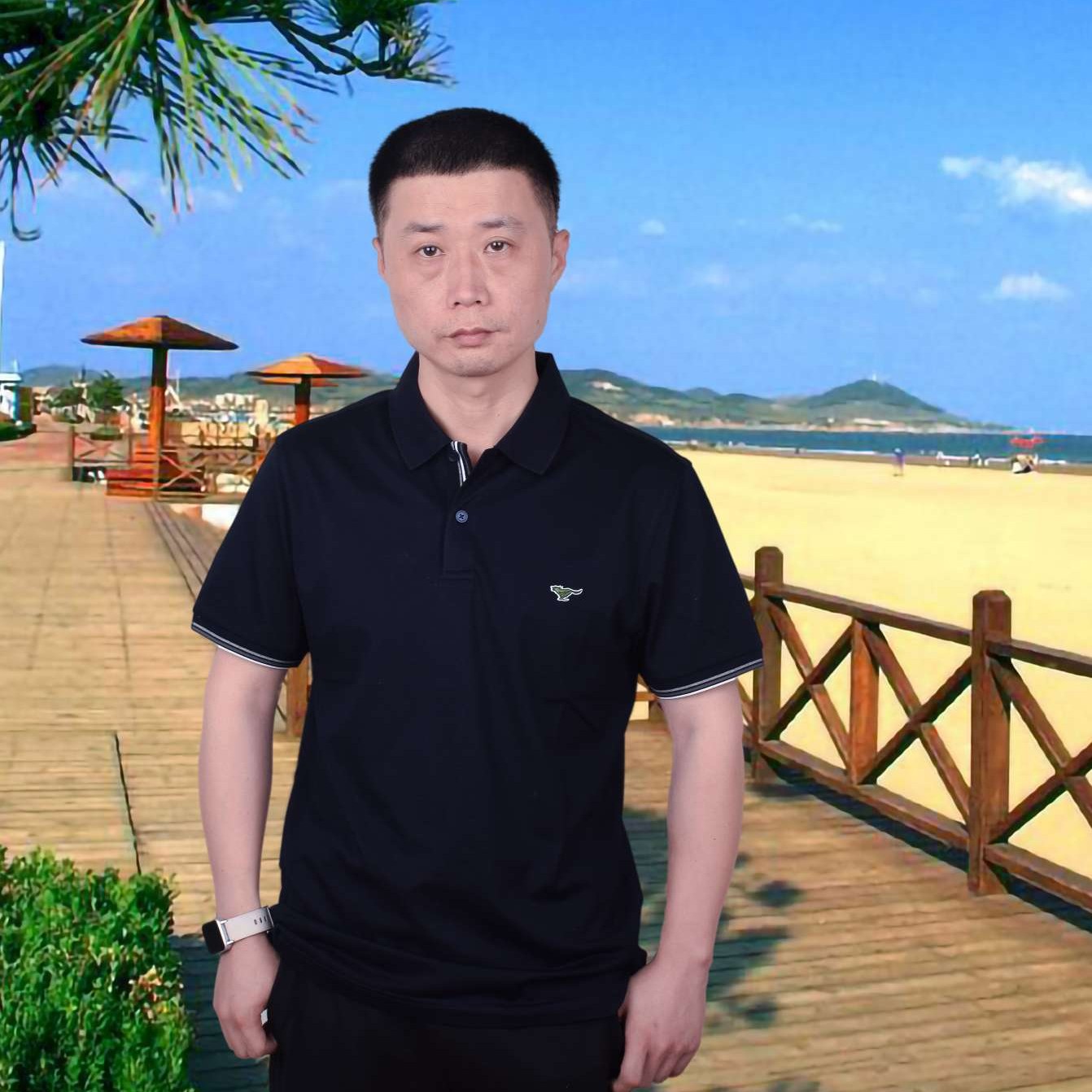 朴素就含羞草的照片