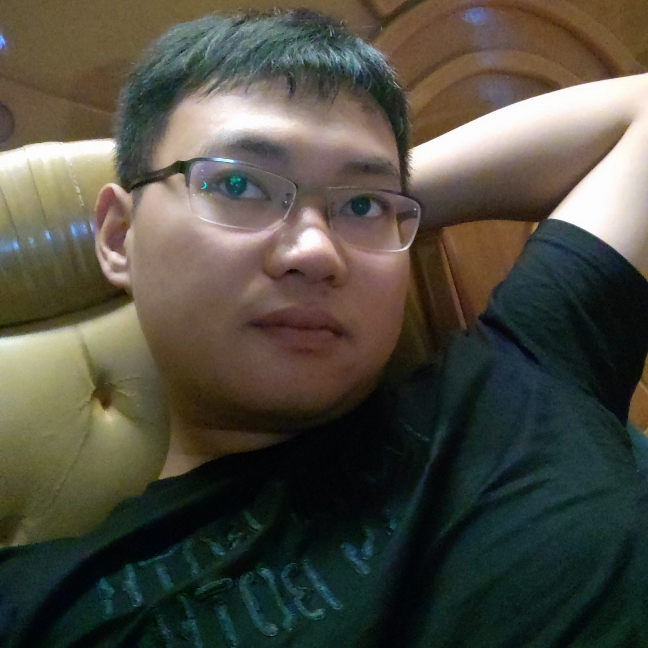 小海豚淡定的照片