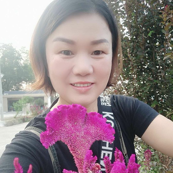美丽与离歌的照片