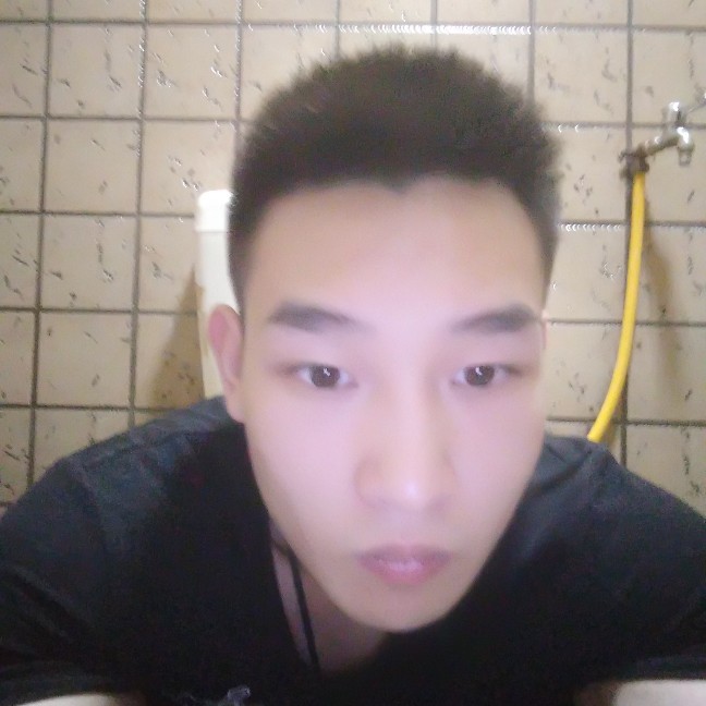 小鸽子吃醋等待的照片
