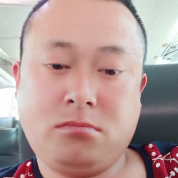 无心苦恋飞鸟的照片