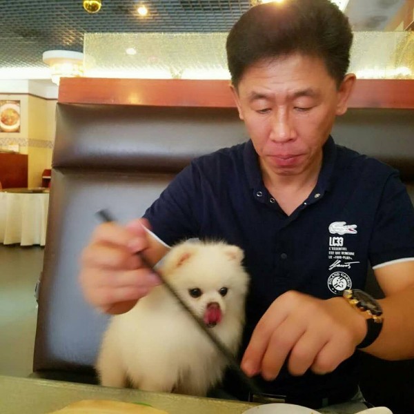 碰海人的照片