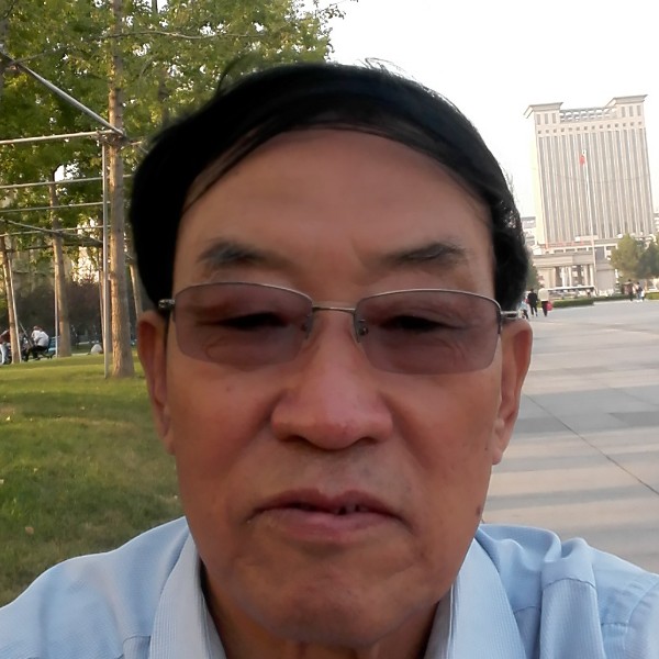 黄蜂温暖的照片