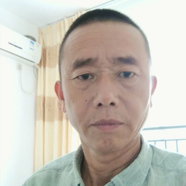小猫咪柔诺的照片