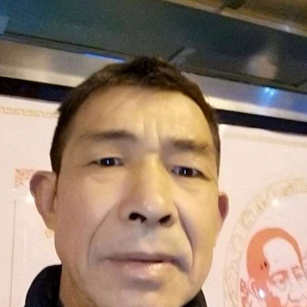 小猫咪有紧张的照片
