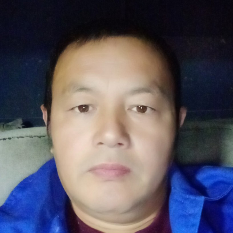 心灵美蹁跹白猫的照片