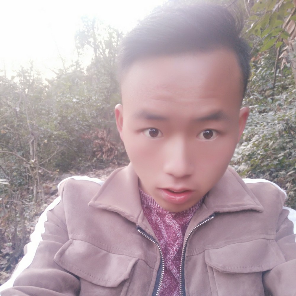 真淳崖悔的照片