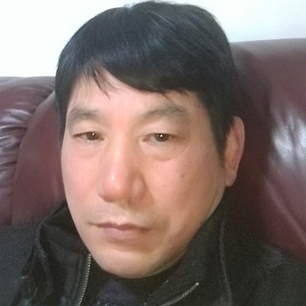 森林兔的照片