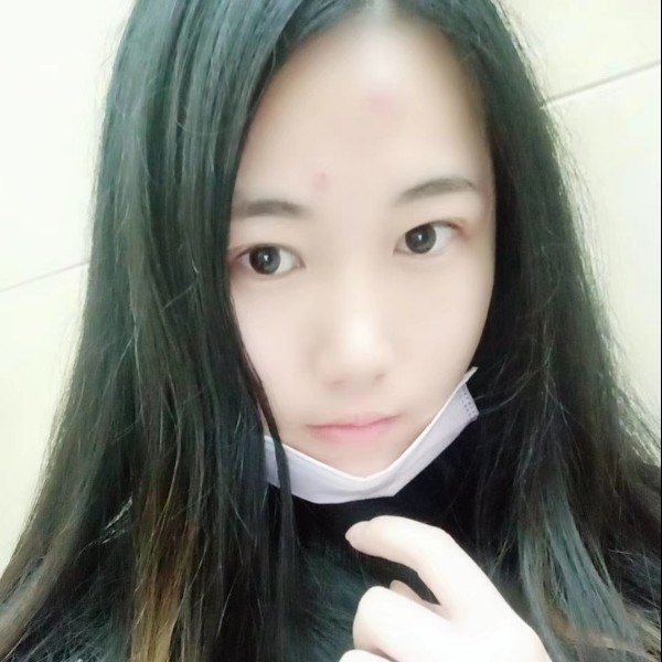 12向日葵的照片