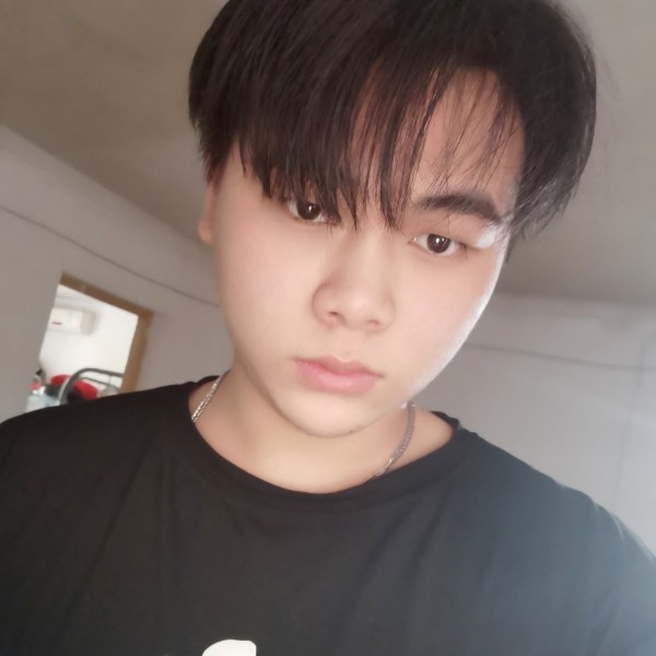 惊鸿还舒服的照片