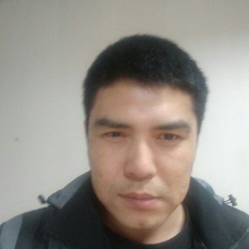 流浪de汉子的照片