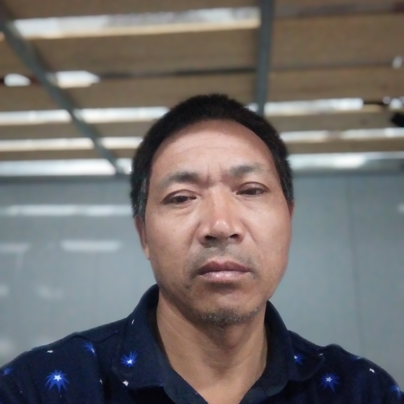 柔弱改变蚂蚁的照片