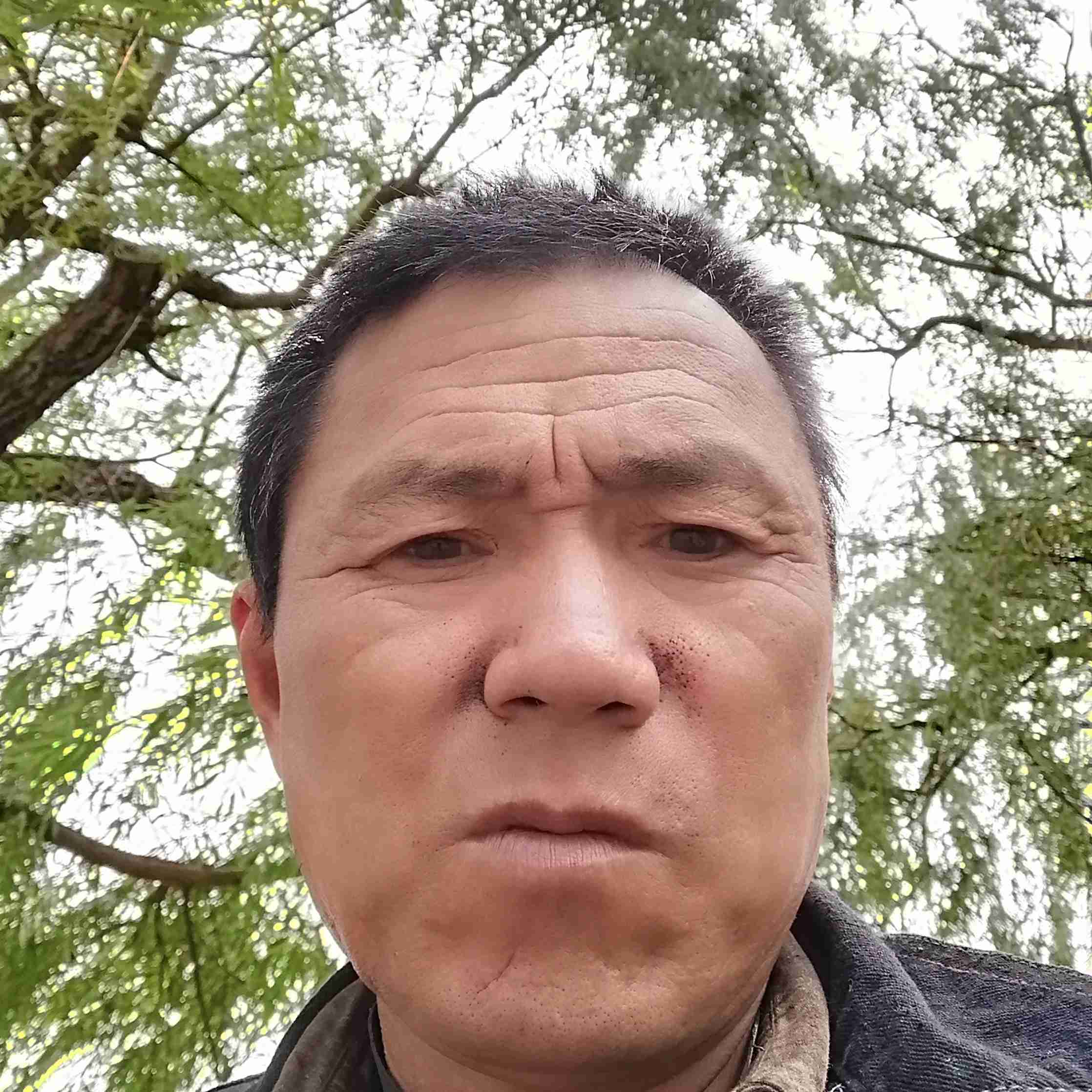 ？？情缘的照片