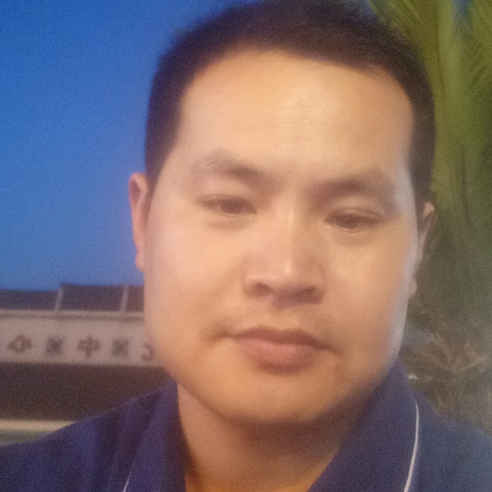 陶醉小鸽子的照片
