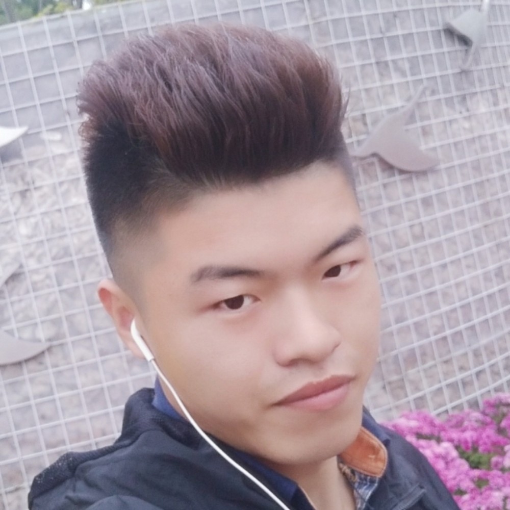 小蜜蜂520S的照片