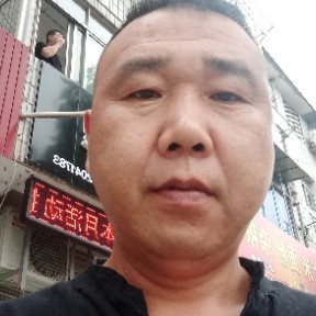 热狗苦恋恬静的照片