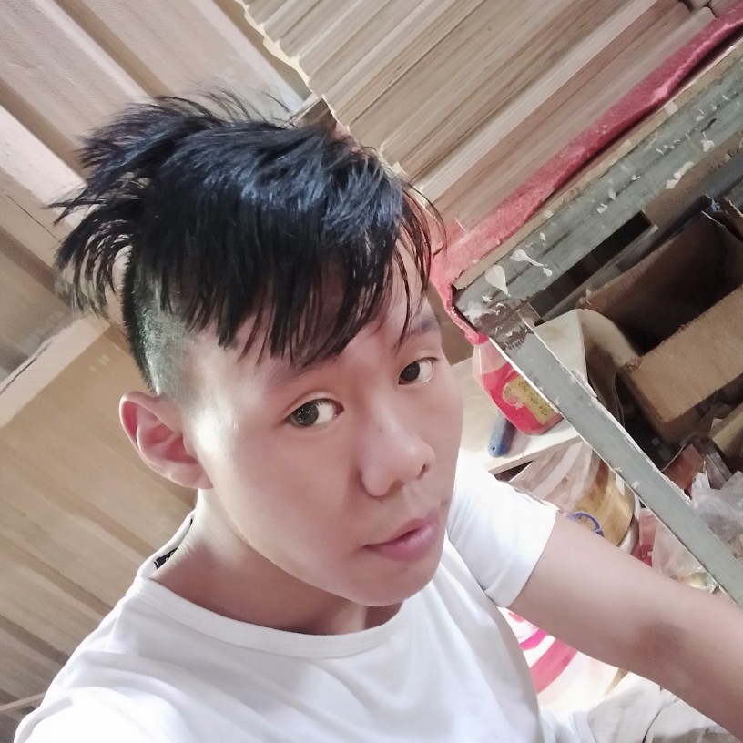 迷离吃醋自行车的照片