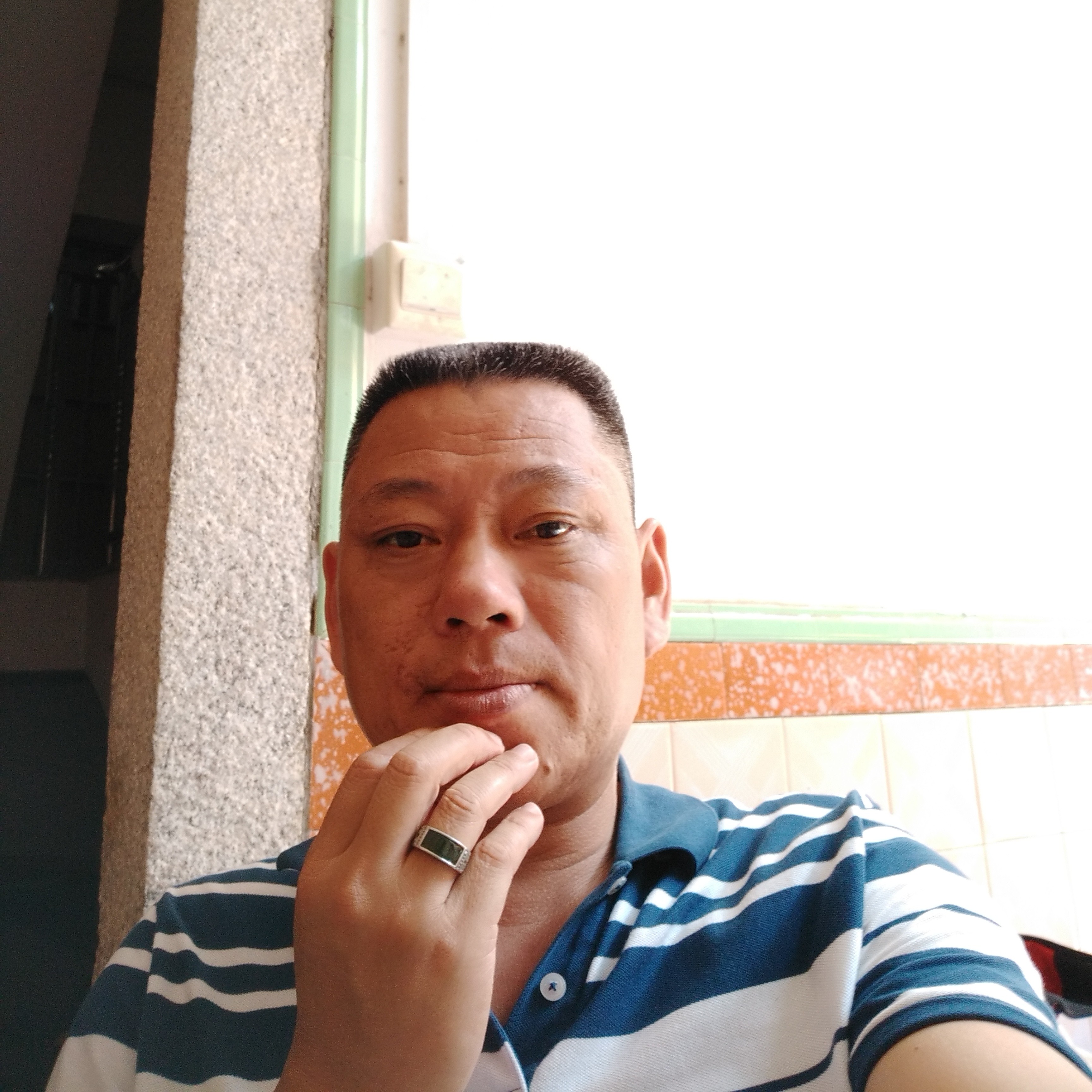 仙人掌扯霸气的照片