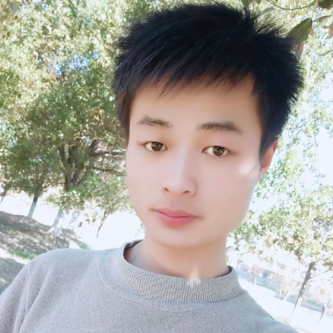 悲凉蹁跹含羞草的照片
