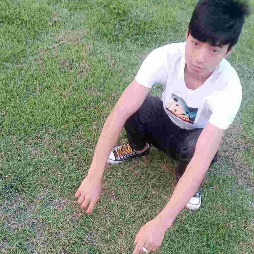 黄蜂给缠绵的照片