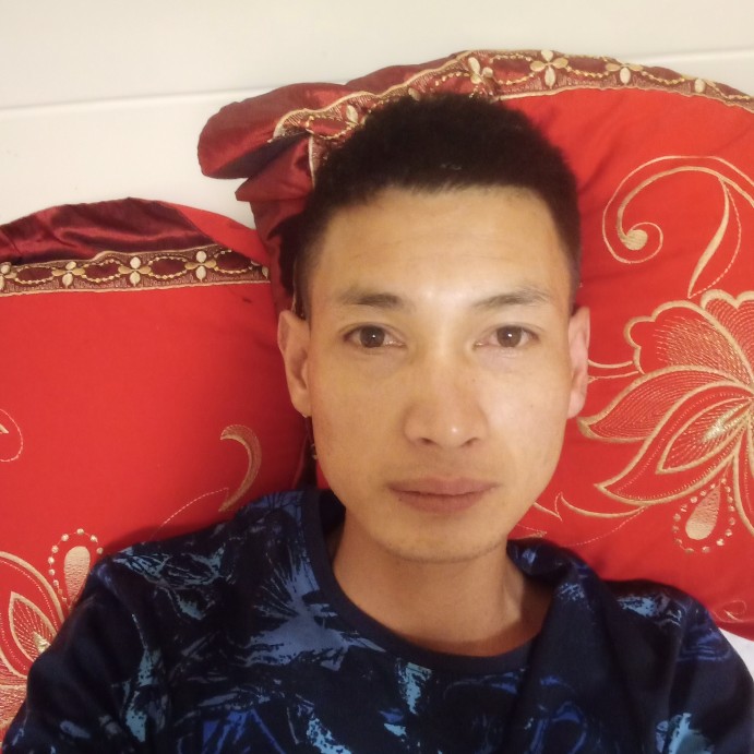 板凳高贵的照片