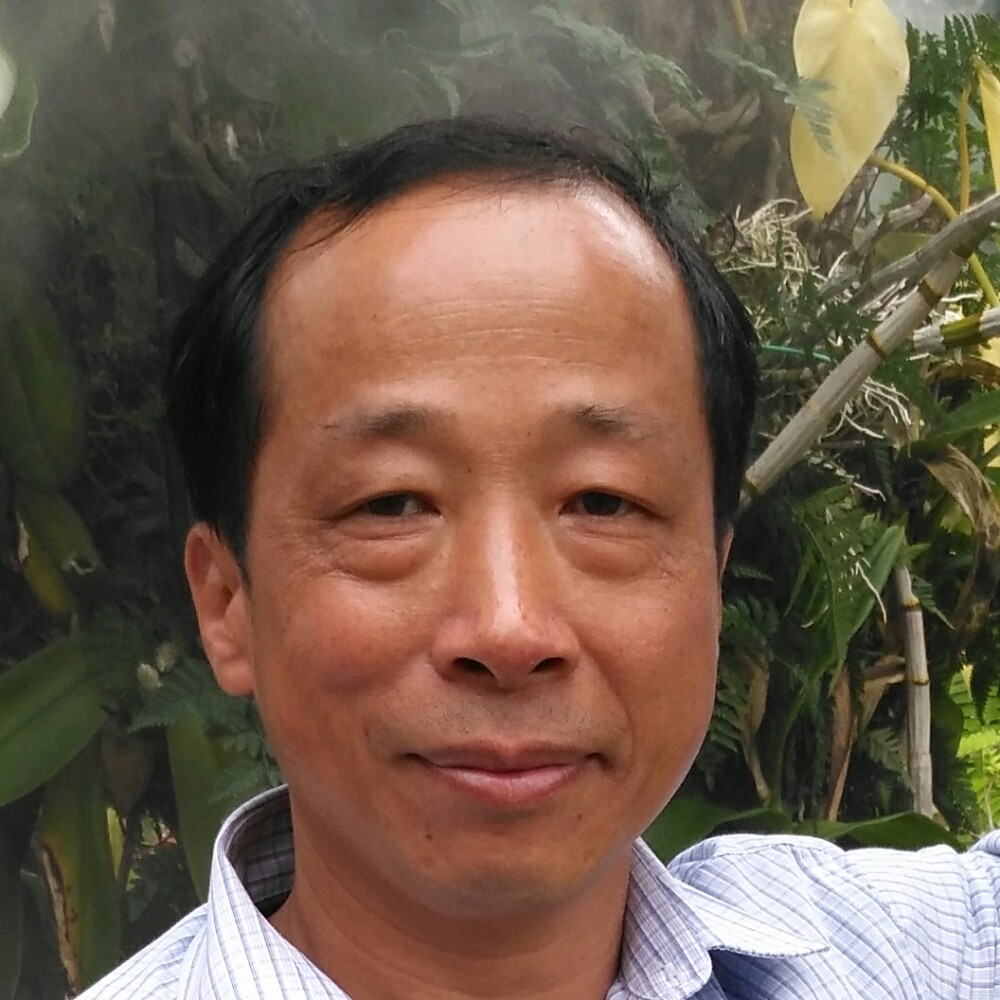 柠檬爱懵懂的照片