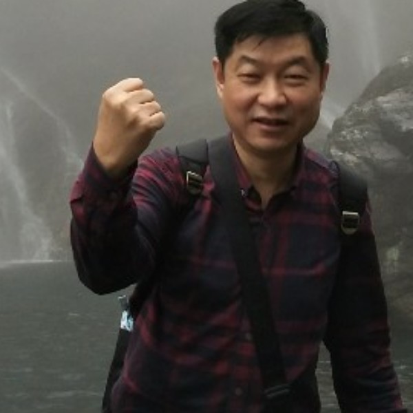 向日葵坚定的照片