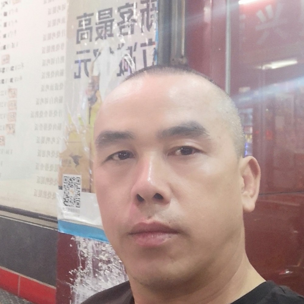 树林之鸟的照片