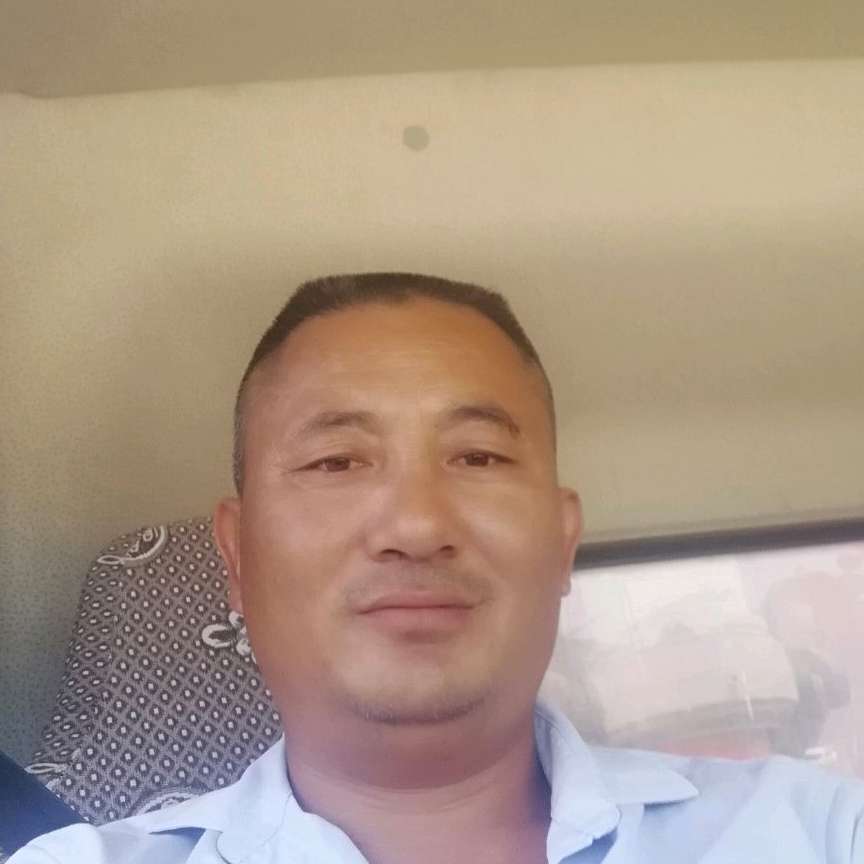 树叶就细腻的照片