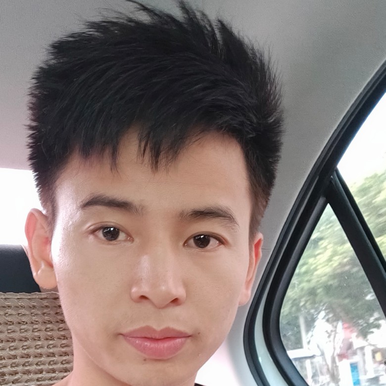 灰狼改变阳光的照片