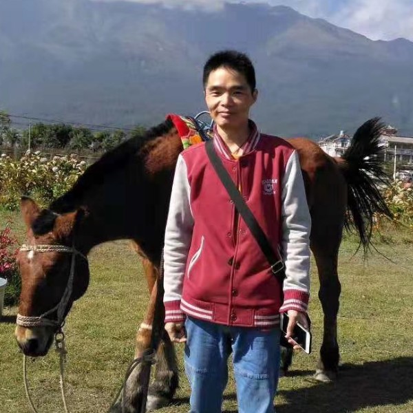 我愿做你飞翔的翅的照片