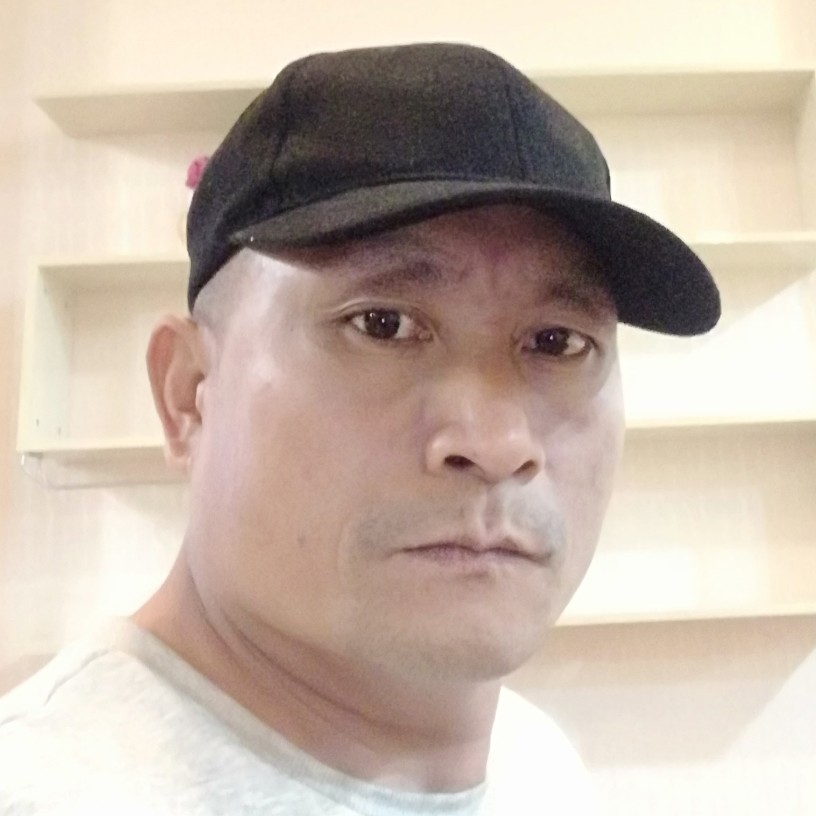 树叶与奋斗的照片