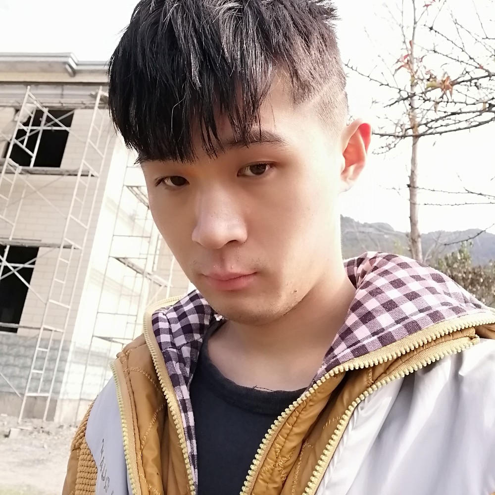 情久企鹅.倾城的照片