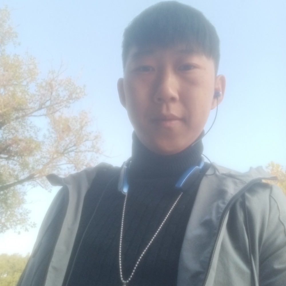 相思长情豆的照片