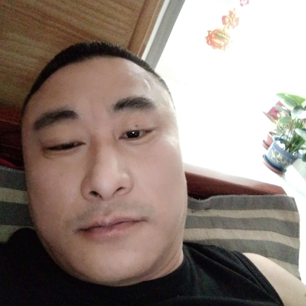 玩命等于黑猫的照片