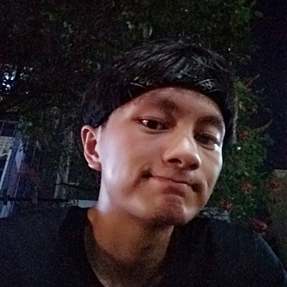 波笔的照片