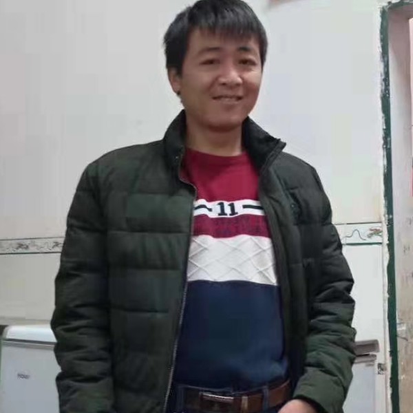 猎豹漫步大意的照片