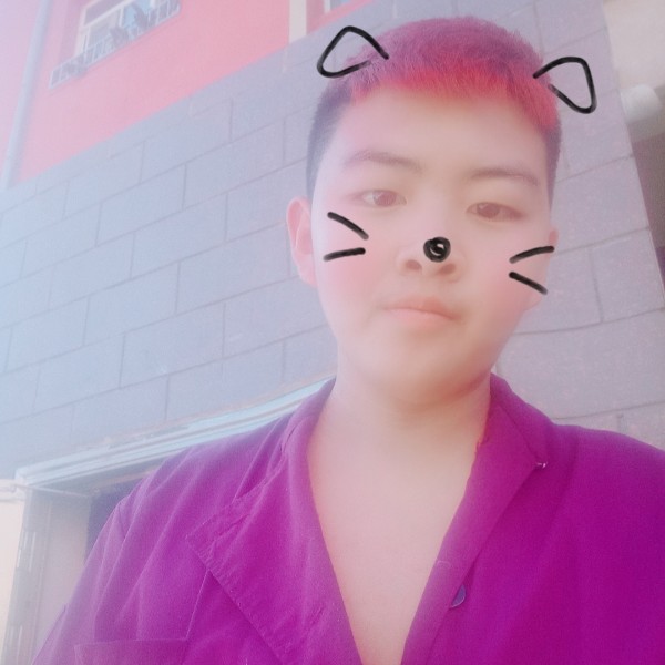 我会给你一切的照片