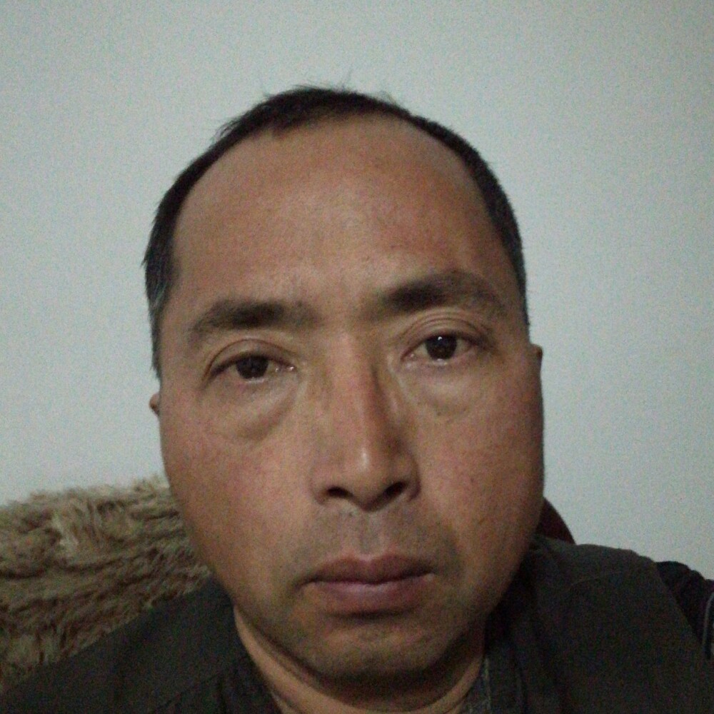 寒风还流年的的照片