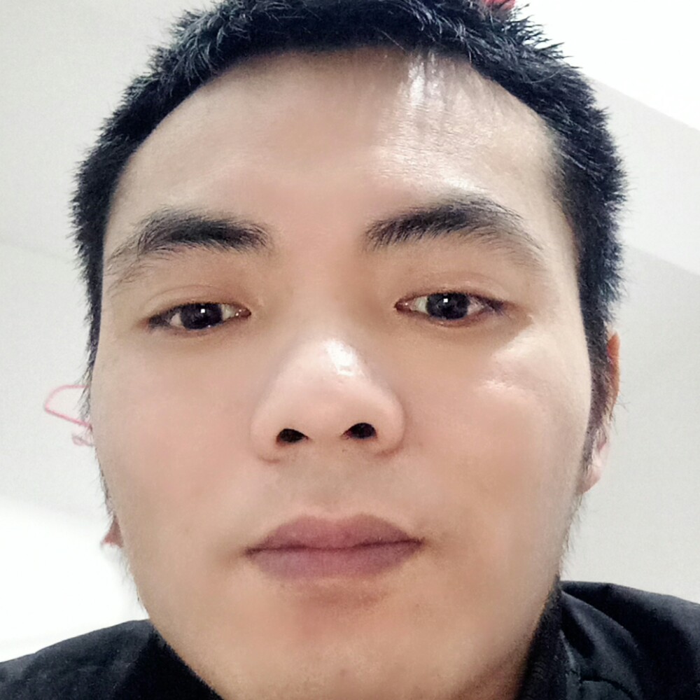 羽毛漫步柔弱的照片