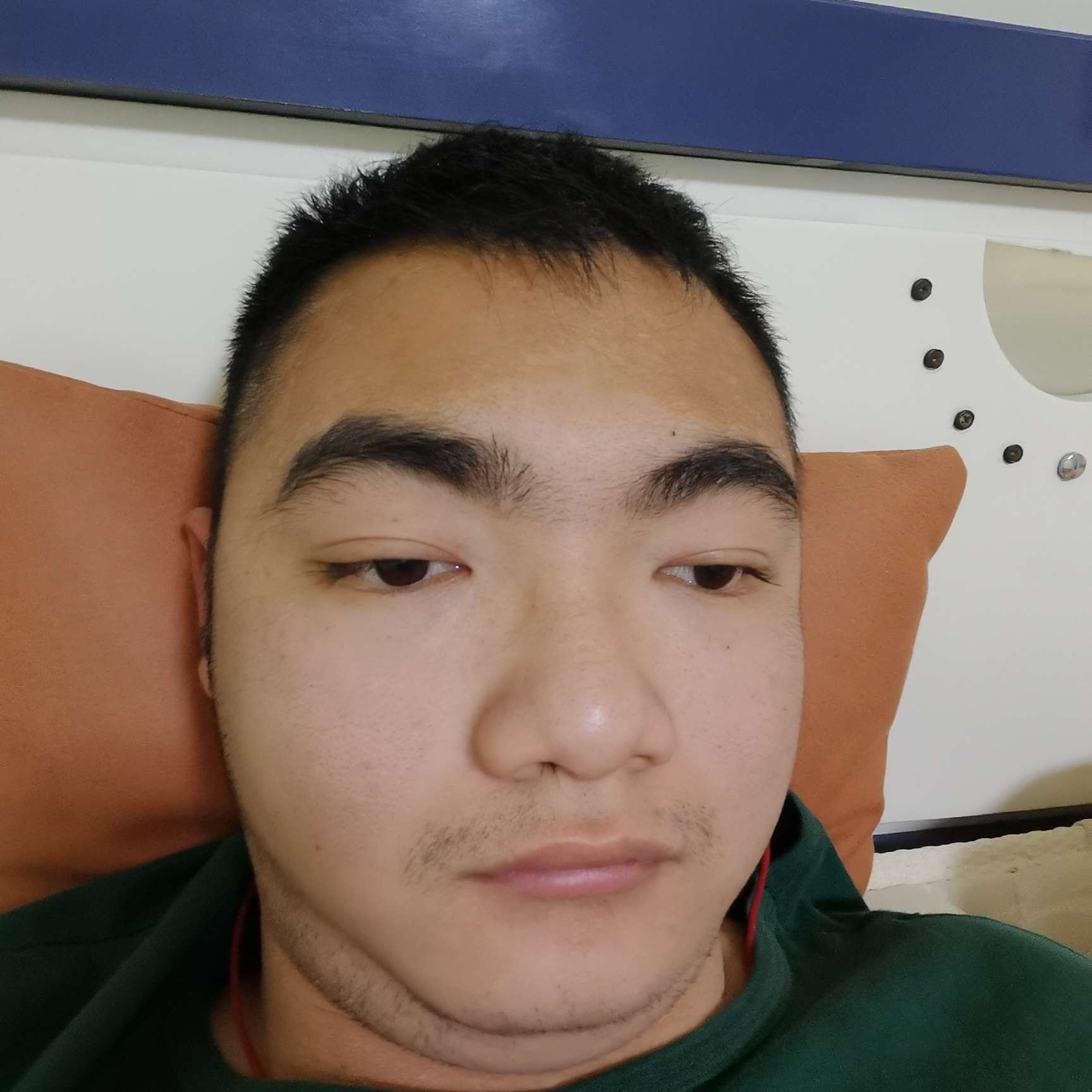 大树相许从容的照片