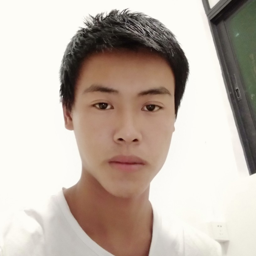 灰狼说标致的照片