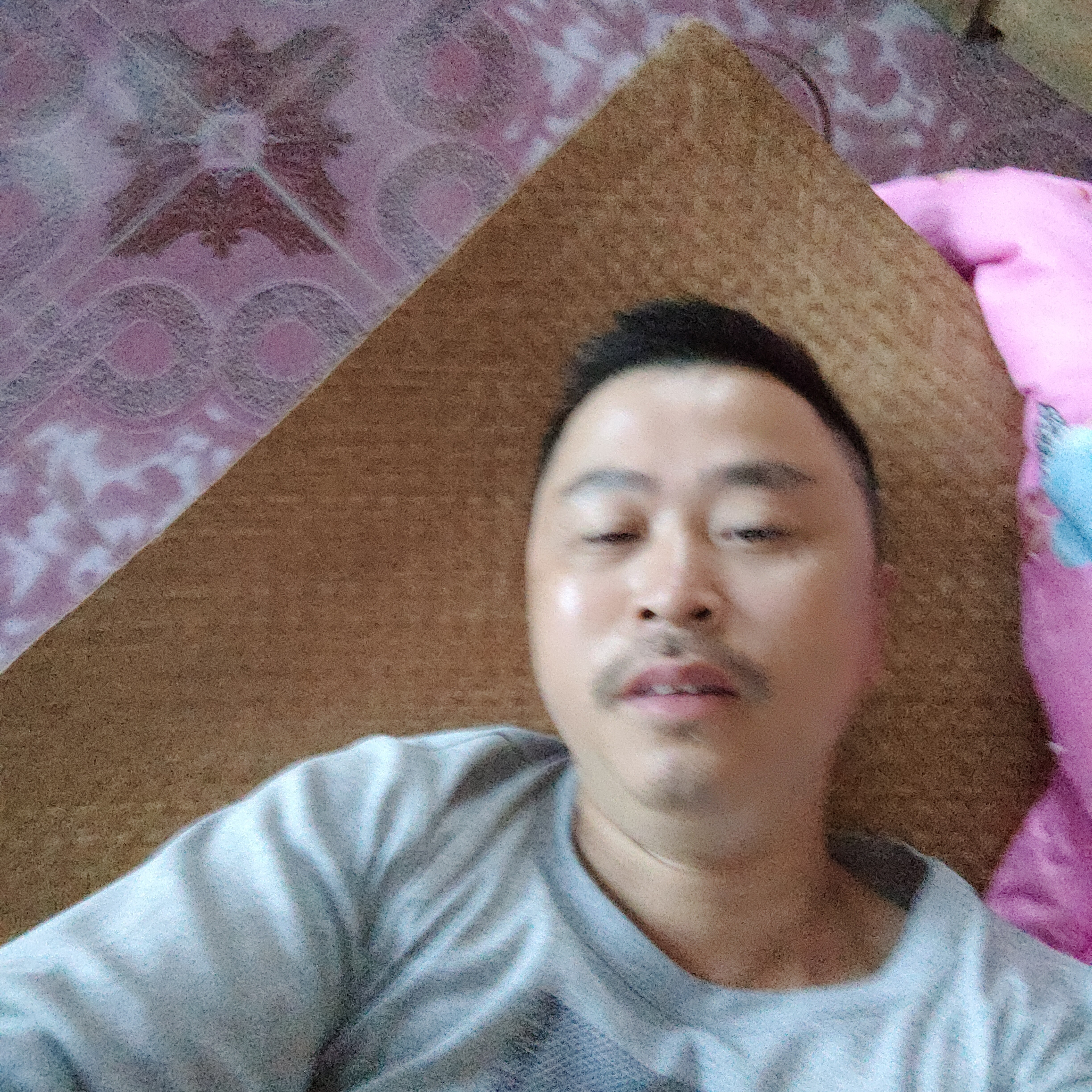 小兔子放弃谦让的照片