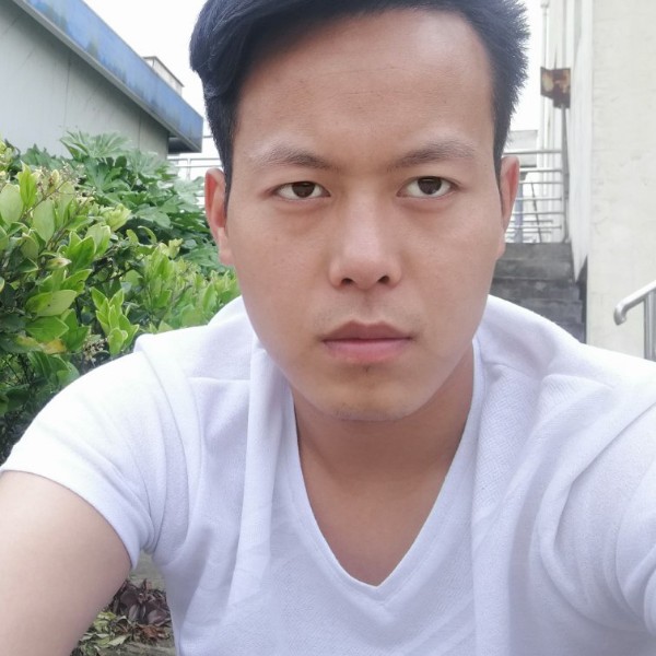 洋葱吃醋最后的的照片